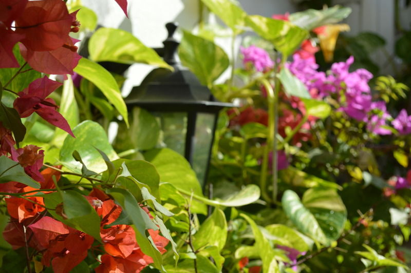 Casa Mary Hotel Cartagena Exterior foto